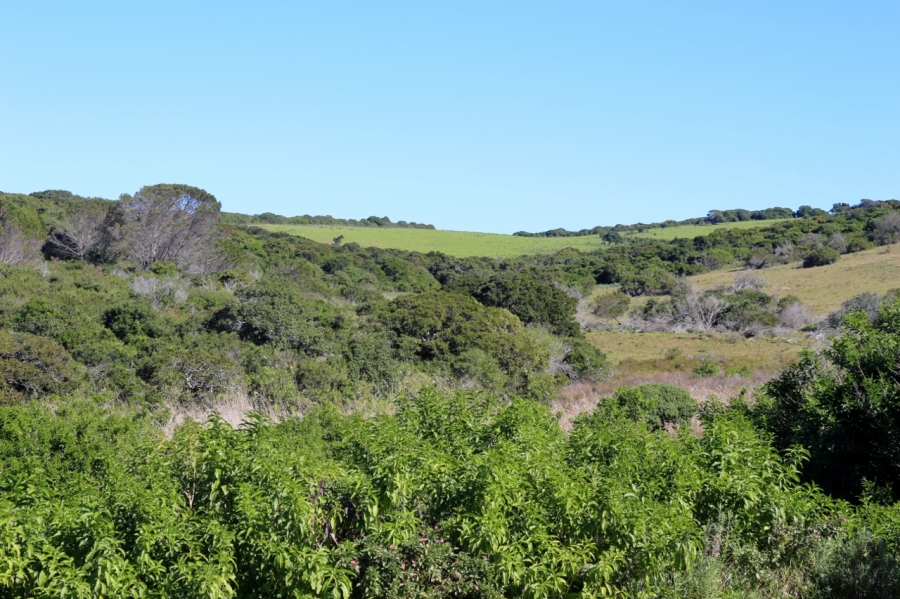 0 Bedroom Property for Sale in Forest Downs Eastern Cape